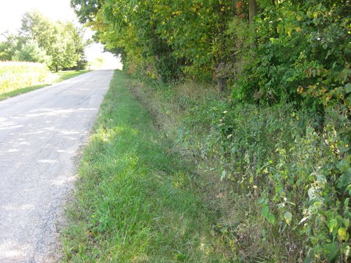 Property photo 2 - 40 Acres Offered in 3 Tracts